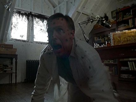 Doctor_Valedespino_attacked_by_bees[1]